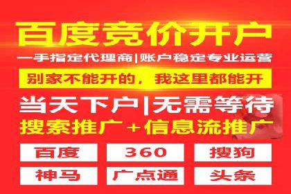 SEM服务优势案例分享